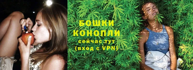 сколько стоит  Змеиногорск  Каннабис Ganja 